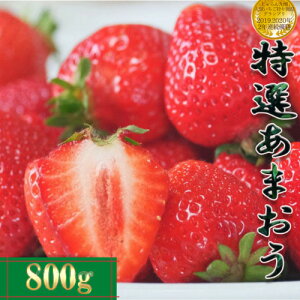 yyVX[p[SALE! 9/4`5OFFN[|!!zy2026N1{`\z ܂ I  Y 800g @yFؗ2 ʍ͔|z