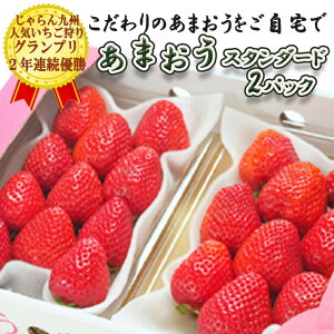 yyVX[p[SALE! 9/4`5OFFN[|!!zy1{`\z ܂ X^_[h  Y 280g×2pbN @yFؗ2 ʍ͔|z