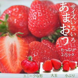 y100~OFFN[|!zy2025N11{`\z܂TCYFX2pbN@Y@