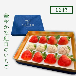 yubNtCf[ |Cg7{!!! 20`zy11{`\z NX}X ܂ v~Aɏg܂ 400g  Ԃ  g j Ε NX}X 