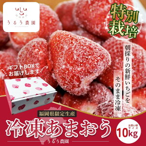 y100~OFFN[|!zⓀ ܂ 10kg Y _ Y  ܂ Ⓚ C`S  W t[c Mtg a  10kg Ⓚ YⓀ Xgx[