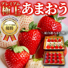 【全品ポイント10倍!! 15日23時59分迄!!】 あまおう プレミアム極上紅白あまおう 400g いちご 赤いちご 白いちご 紅白 お祝い お歳暮 クリスマス ギフト お礼 プレゼント 福岡県産 【認証率2％ 特別栽培】ホワイト ひなまつり ひな祭り