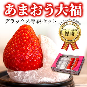 y2026N1{`\z܂ 啟 啟 Zbg Y E܂1pbN280gEi啟6yFؗ2 ʍ͔|zNX}X Mtg v[g p  蕨 C