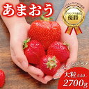 【最大3600円引き価格!! ポイント10倍 スーパーセール!! 4日から】あまおうサイズ色々いちご あまおう 540g 1180g 162…