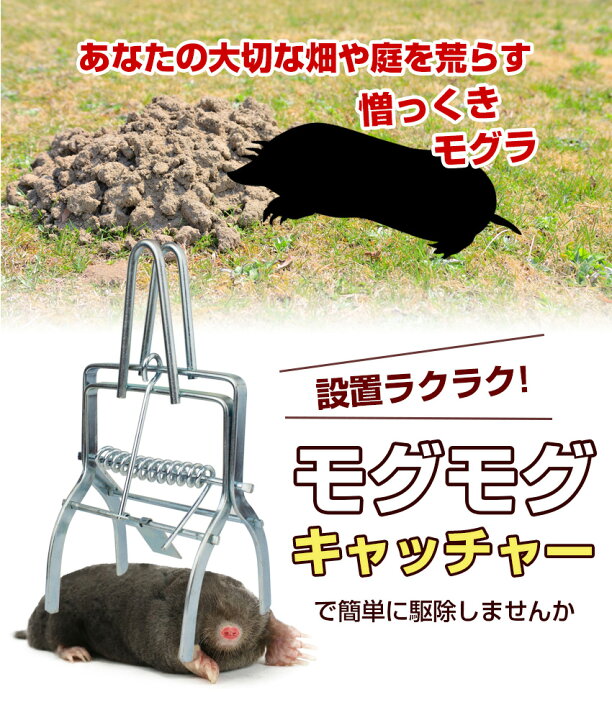 楽天市場 クーポン利用で 1780円 もぐら退治 モグラ退治 もぐら捕獲 2個セット もぐら 駆除 対策 捕獲機 撃退器 モグモグキャッチャー Candy Store