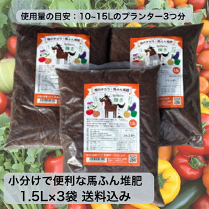 y1000~|bLzŕ֗ nӂ͔ũ`JBORŐPv1.5L×3܁i}`gpEyÂɍœKj͔ nӂ n nt  v^[͔| y n͔ Ԃ̓y Ԃ