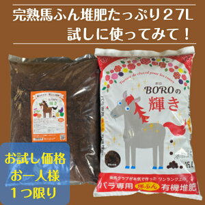 _nNu inӂ͔^yՌi{P5{×݁zuBORŐPvb`uh15L×1܂ƃX^_[h12L×1 Zbg nA ͔ nӂ n  K[fjO 