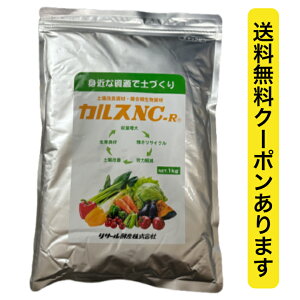 yN[|pōňlIz JX NC-R 1kg yǍ JX  y i y ӂӂ̓y T[yY ^[pbNCgɂĔ őiƂ̓