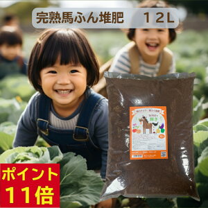 y|Cg11{×݁z ؉p nӂ͔ ̃`JBORŐP yÂ y nA ƒ؉ v^[ A Aւ n͔ |{y  yǍ }`gp n 