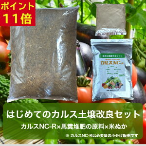 y|Cg11{×݁z͂߂ẴJX y Zbg JXNC-R n  Ăʂ Zbg yÂ ȒPZbg L@ ⋋  nn  n͔   