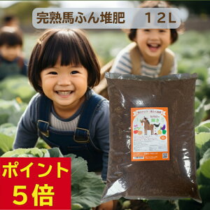 �_��n�N���u���� ���i���n�ӂ� �͔� �^�y�労�Ӎ� P5�{×���������z�� �؉��p �n�ӂ�͔� ���̃`�J��BORO�̋P�� �y�Â��� �y����� �n�A�� �ƒ�؉� �v�����^�[ ���A�� �A�ւ� ���n�͔� �|�{