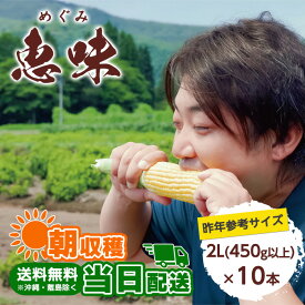 [冷蔵][予約]送料無料 信濃町産トウモロコシ 恵味(めぐみ) 1ケース(10本入り) [予約直送]【2024年8月5日～12日順次出荷予定】