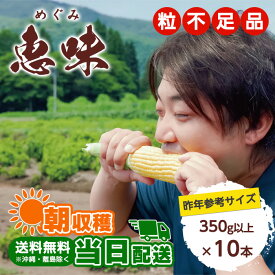 [冷蔵][予約]送料無料【粒不足品】 朝採れ 信濃町産トウモロコシ 恵味(めぐみ) 1ケース(10本入り) [予約直送] 【2024年8月5日～12日順次出荷予定】