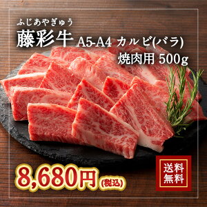 ЃtW`N [Ⓚ][5]A5-A4 ʋ oJr ēp 500g  2533