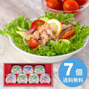 �͂�����t�[�Y �V�[�`�L���M�t�g 2025 �M�t�g �V�[�`�L�� 3000�~ �������� �H�i [�������i]