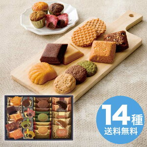 yΕz Kg[EhDEZ] YS-A 2025 Mtg Ăَq lߍ킹   mَq aَq 4000~  Hi [i]