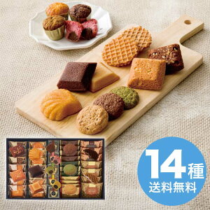 yΕz Kg[EhDEZ] YS-C 2025 Mtg Ăَq lߍ킹   mَq aَq 6000~  Hi [i]