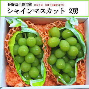 쌧sY VC}XJbg Ԃǂ 2[ yȔΕzy11{`12{zyzwsz[\񒼑]