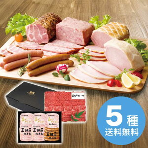 yΕz OcMtgZbg HNK-13 2025 Mtg n nMtg ؂  Mtg v[g 14000~ ①  Hi [i]