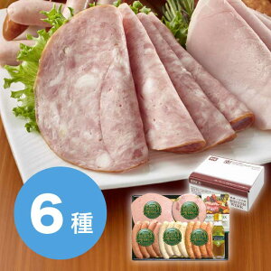 琬 }CX^[ cMtg Zbg 2025 Mtg n \[Z[W nMtg ؂ 5000~ ①  Hi [i]