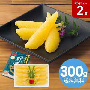 y}\Ԓ|Cg2{zyΕz ̎q 2025 Mtg ̎q   aH  6000~ ①  Hi [i]