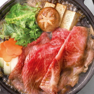 yΕz ㋍ EfoĂp(400g) 2025 Mtg Ă Ă   Mtg v[g 8000~ Ⓚ  Hi [i]