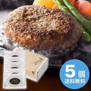 yΕz ㋍(31)no[O5 2025 Mtg no[O `  Mtg _炩 v[g 5000~ Ⓚ  Hi [i]