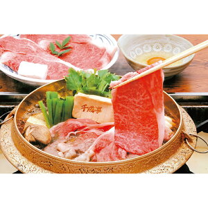 琬 琬 ߍ] [X Ă 600g 2025 Mtg  Mtg niku _炩 ē  ēZbg 16000~ Ⓚ  Hi [i]