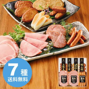 yΕz Y؃nƂܗgZbg KKS-300(N 2025 Mtg n nMtg ؂  Mtg v[g 3000~ ①  Hi [i]