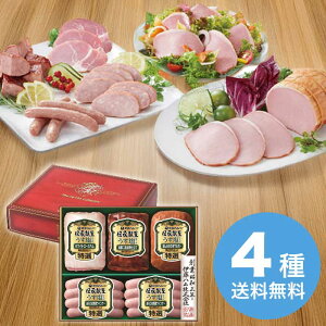 yΕz `悤dグMtg GMU-43 2025 Mtg n nMtg ؂  Mtg v[g 4000~ ①  Hi [i]