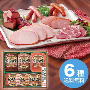 yΕz `MtgZbg GMF-42 2025 Mtg n nMtg ؂  Mtg v[g 4000~ ①  Hi [i]