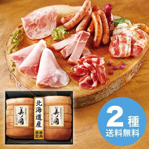 yΕz kC v~A m UKH-102 2025 Mtg n nMtg ؂  Mtg v[g 10000~ ①  Hi [i]