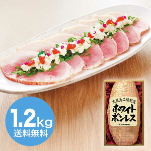 yΕz zCg{X 1.2kg 2025 Mtg n nMtg ؂  Mtg v[g 4000~ ①  Hi [i]