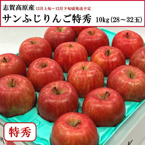  쌧uꍂY Tӂ G 10kg 28`32 yȔΕzy12{`12{zyzwsz[\񒼑]