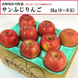  쌧쒬Y Tӂ 3kg 8`9 yȔΕzy12{`12{zyzwsz[\񒼑]