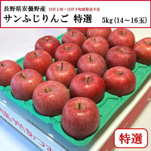  쌧ܖY Tӂ I 5kg 14`16 yȔΕzy12{`12{zyzwsz[\񒼑]