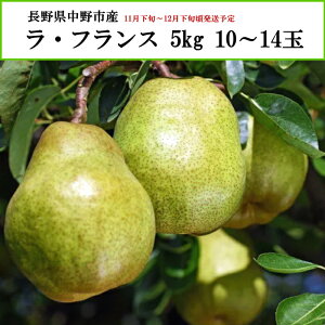  쌧sY EtX 5kg 10`14 yȔΕzy11{`12{zyzwsz[\񒼑]