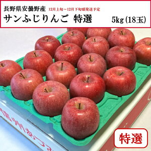  쌧ܖY Tӂ I 5kg 18 yȔΕzy12{`12{zyzwsz[\񒼑]