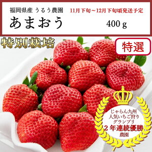  Y 邤_ ܂ I 400g yȔΕzy11{`12{zyzwsz[\񒼑]