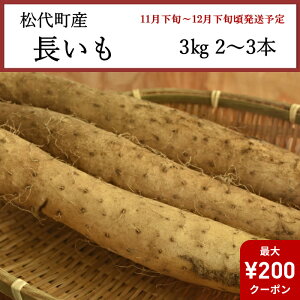 ySSN[|Ώہz 쌧㒬Y  3kg 2`3{ [i]yȔΕzy11{`12{zyzwsz