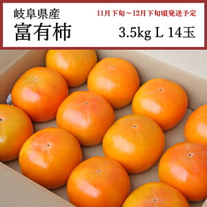  򕌌Y xL` 3.5kg L 14ʁyȔΕzy11{`12{zyzwsz[\񒼑]