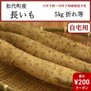 ySSN[|Ώہz 쌧㒬Y  ƒp 5kg ܂ꓙ [i]yȔΕzy11{`12{zyzwsz