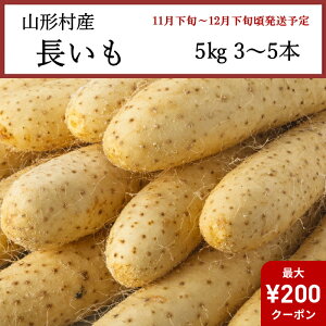 ySSN[|Ώہz 쌧R`Y  5kg 3`5{ [i]yȔΕzy11{`12{zyzwsz