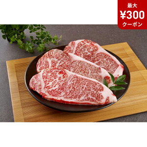 ySSN[|Ώہz T[CXe[L 3 540g yȔΕz y11/15`12/26͂z[Ⓚ][i]