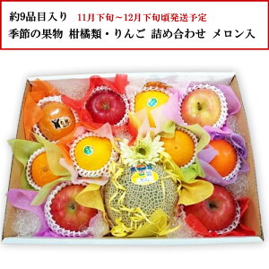 G߂̉ʕ kށE񂲓 9i lߍ킹  yȔΕzy11{`12{zyzwsz[\񒼑]