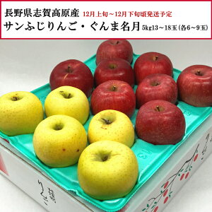  Tӂ񂲁Eܖ ~bNX 5kg 13`18(e6`9) yȔΕzy12{`12{zyzwsz[\񒼑]