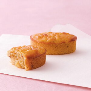 ˓ ЂƂƂ ˈ 2025 Mtg mَq lߍ킹 aَq XC[g|eg  2000~  Hi [i]