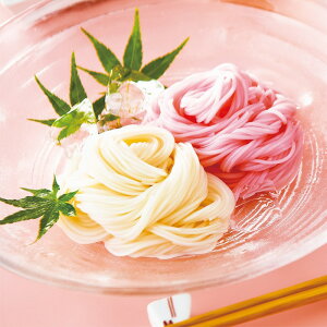 ƕY K۔T g f l 2025 Mtg ˗  ߂ f 3000~  Hi [i]