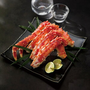 kC ԑY {C ΂ p 2025 Mtg   19000~ Ⓚ  Hi [i]