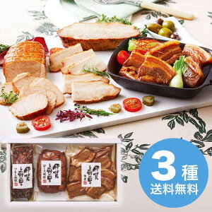 yΕz 邵ē؁؊pσZbg 2025 Mtg y 킢  Mtg v[g aH  4000~ ①  Hi [i]